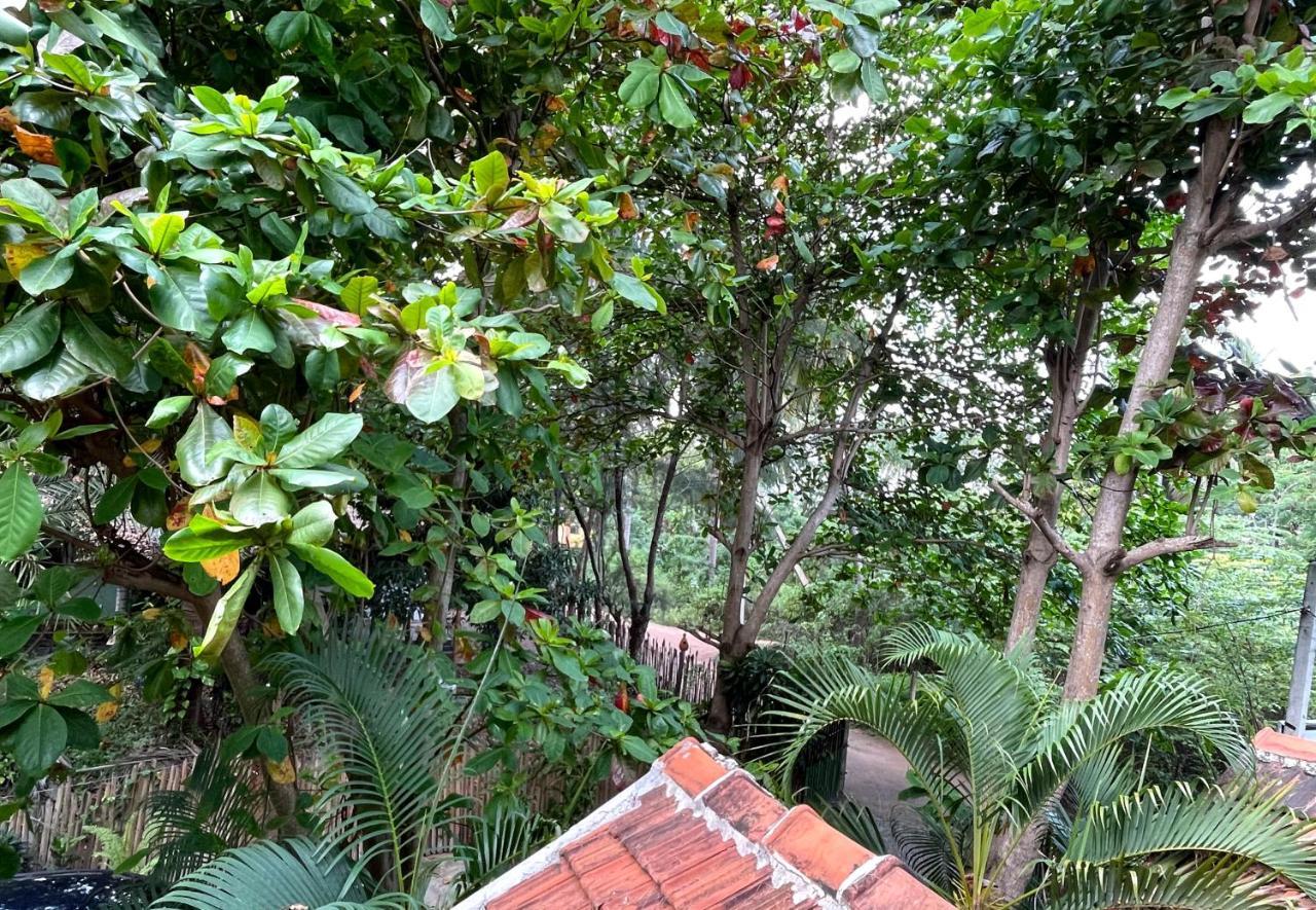 New Roy Guest House Kalkudah  Bagian luar foto