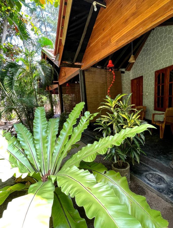 New Roy Guest House Kalkudah  Bagian luar foto