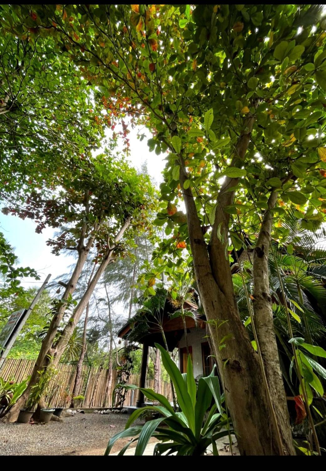 New Roy Guest House Kalkudah  Ruang foto